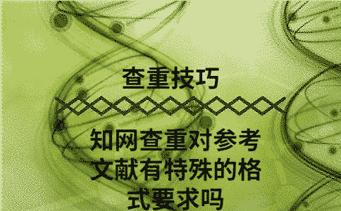 學(xué)術(shù)查重對參考文獻(xiàn)有什么特殊的格式要求嗎
