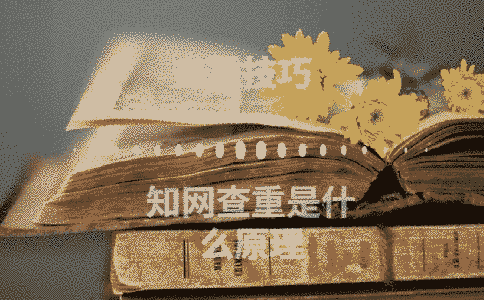 學術查重是什么原理