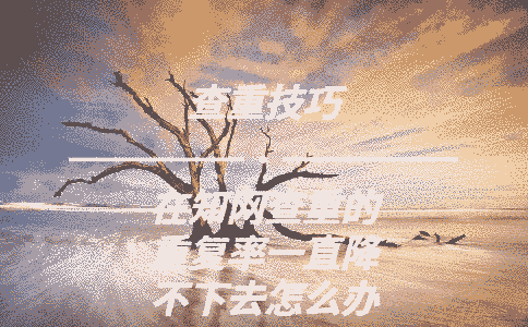 在學(xué)術(shù)查重的重復(fù)率一直降不下去怎么辦啊