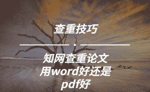 學術查重論文用word好還是pdf好