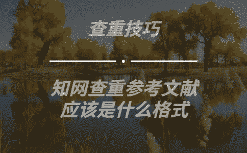 學術查重參考文獻應該是什么格式