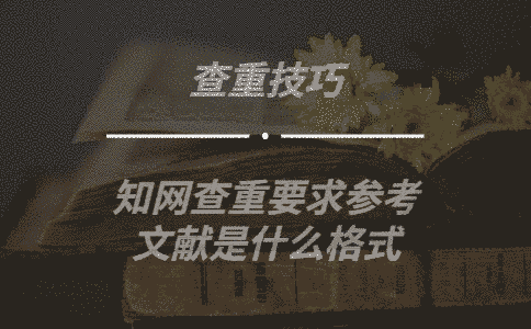 學(xué)術(shù)查重要求參考文獻(xiàn)是什么格式