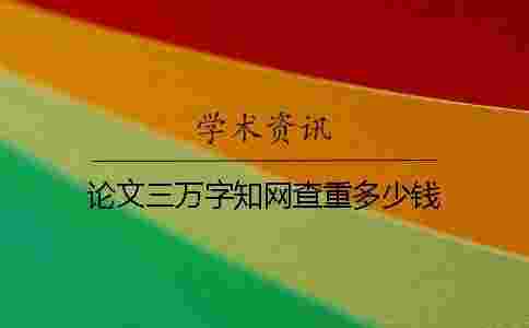 論文三萬字學術查重多少錢？
